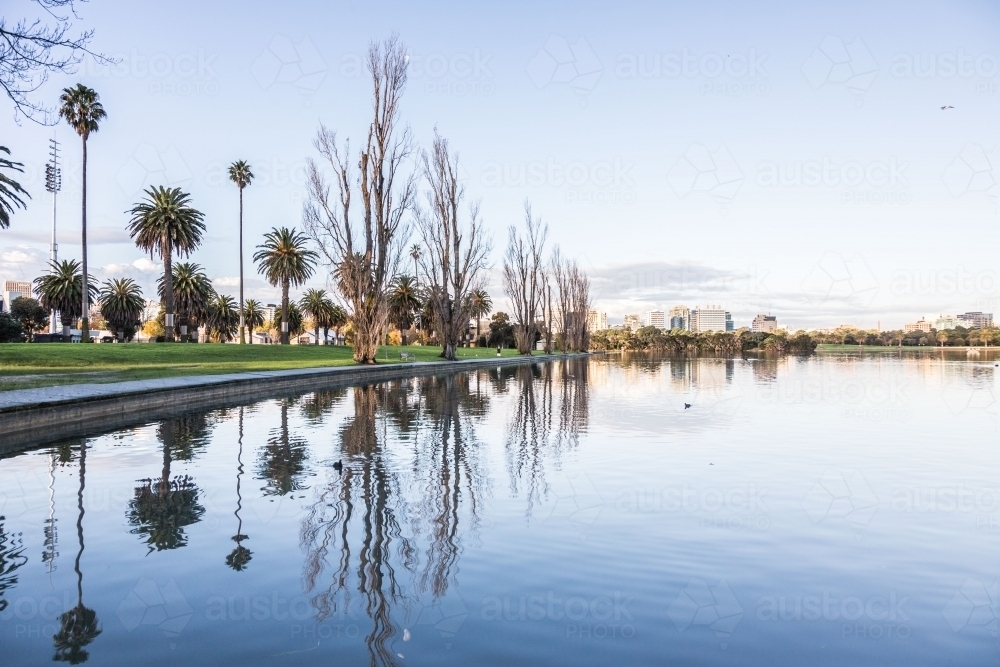 Albert Park Lake & Palms - Australian Stock Image