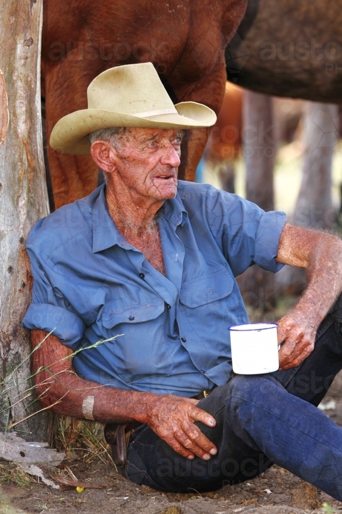 An 84 year old cattle drover rests against a tree with a cup of tea - Australian Stock Image