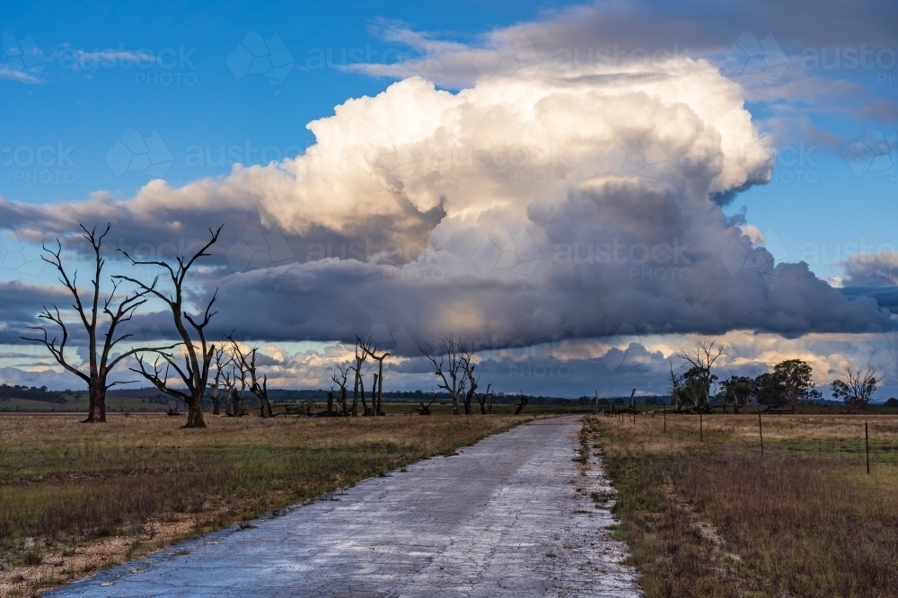 An abandoned road heading into the distance under a large storm cloud - Australian Stock Image