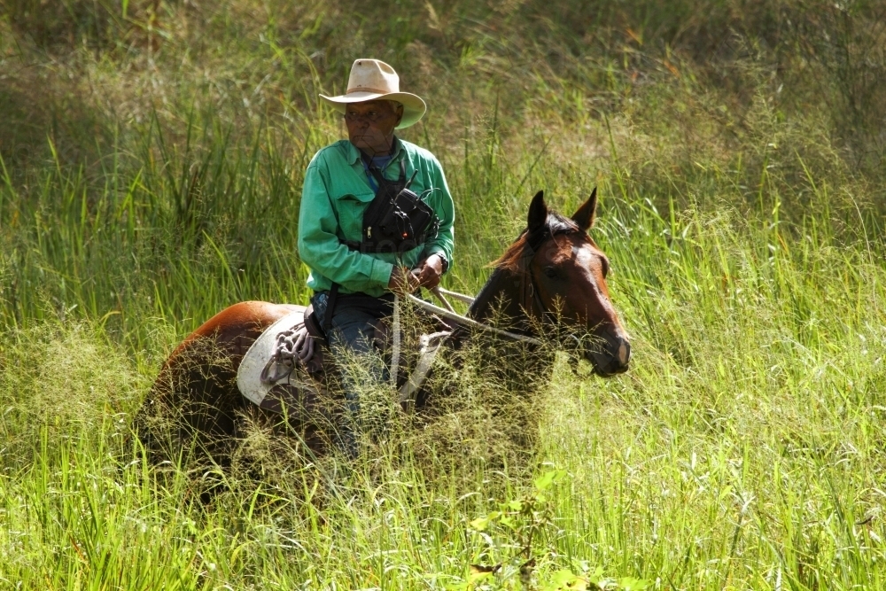 An aboriginal stockman on horse riding through tall grass. - Australian Stock Image