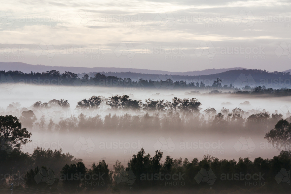 An aerial view across a valley at sunrise in the Hunter Valley, New South Wales, Australia - Australian Stock Image