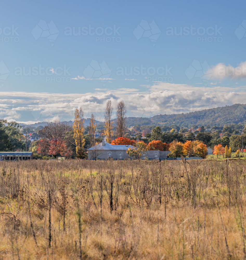 An autumn scene in the country under a blue sky - Australian Stock Image