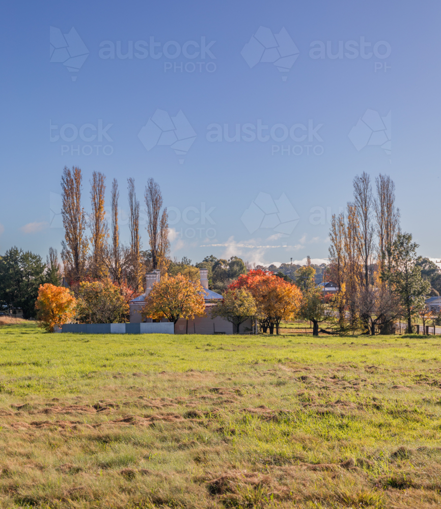 An autumn scene in the country under a blue sky - Australian Stock Image