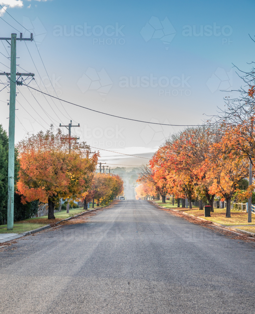 An autumn scene on a country road on a misty morning - Australian Stock Image