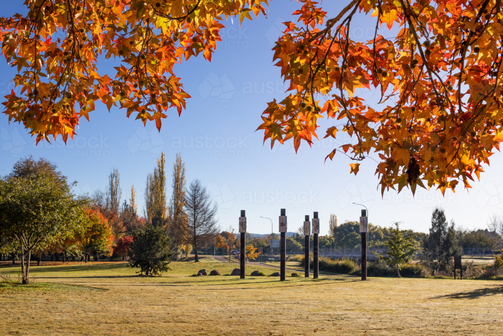 An autumn scene under golden leaves looking at a sculpture in a park - Australian Stock Image