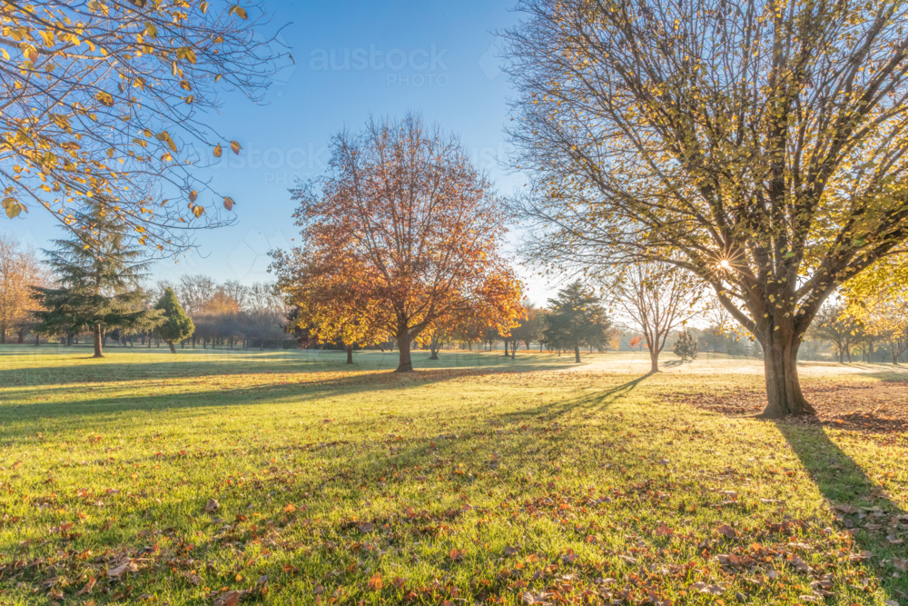 An early autumn morning in a country park - Australian Stock Image