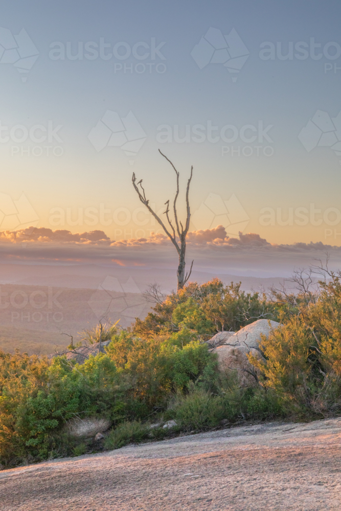 An early morning, granite and soft dawn skies - Australian Stock Image