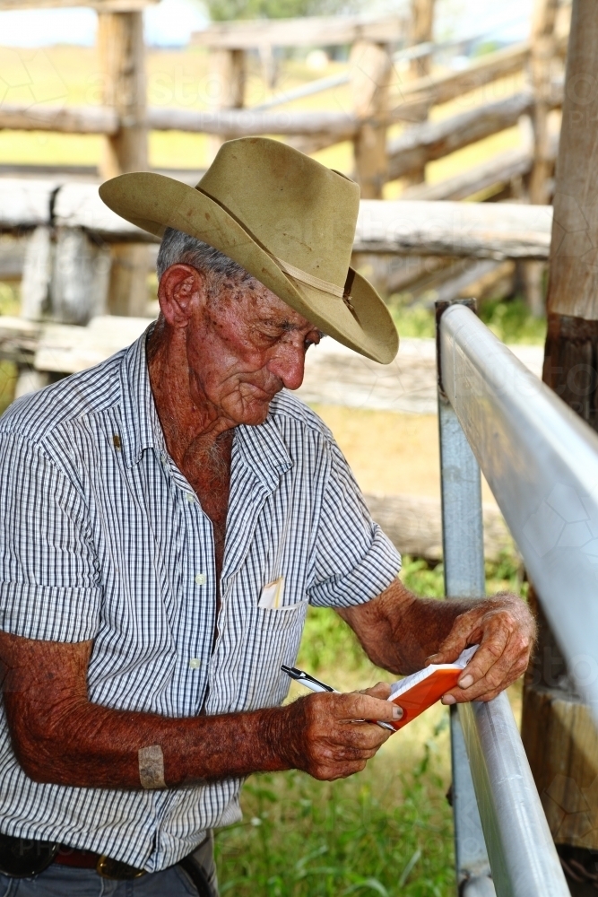 An elderly stockman in his 80's checks his notebook in cattle yards - Australian Stock Image