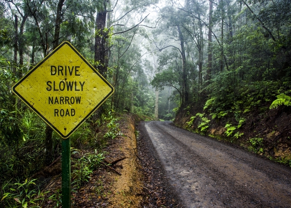 An empty  narrow rain forest with warning sign to drive slow. - Australian Stock Image