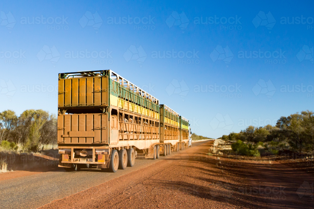 An iconic 3 trailer Australian road train travels along road - Australian Stock Image