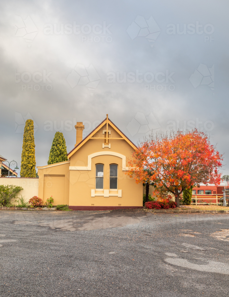 An old country railway building with a tree with autumn foliage - Australian Stock Image