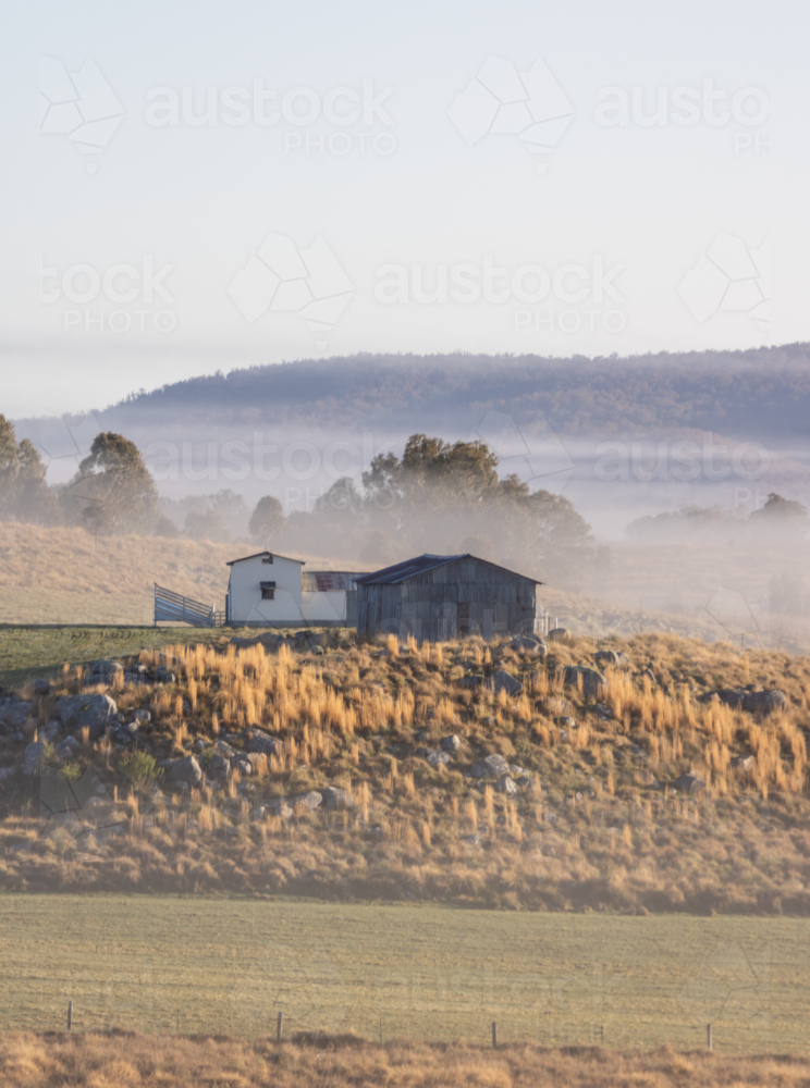 An old country shed on a hill on a misty morning - Australian Stock Image