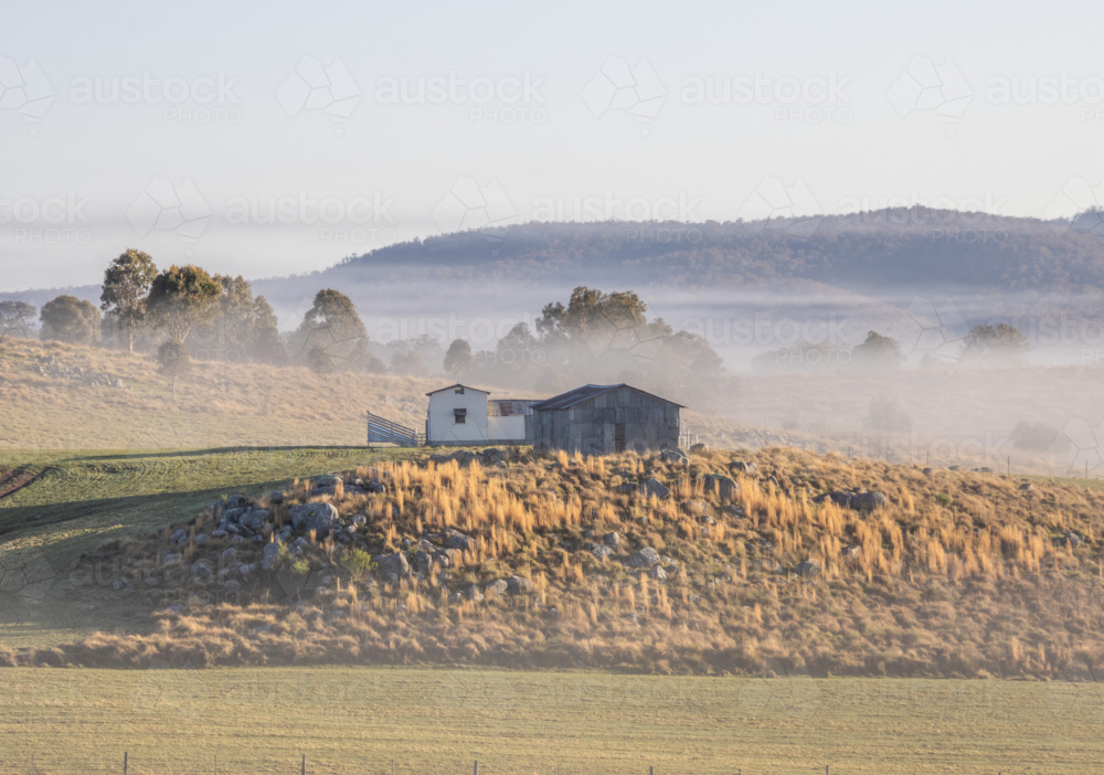 An old shed, and a white cottage on a hill on a misty morning - Australian Stock Image