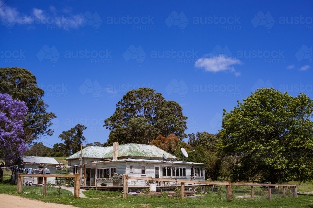 An old, weathered, farmhouse sits among green and purple trees on a beautiful sunny day. - Australian Stock Image