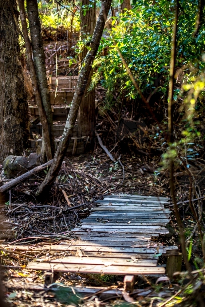 An old wooden bridge crosses a stream in a fern glade, with steps leading away - Australian Stock Image