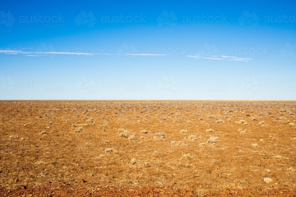 An open dry paddock with endless views at Alexandria Station in Northern Territory - Australian Stock Image