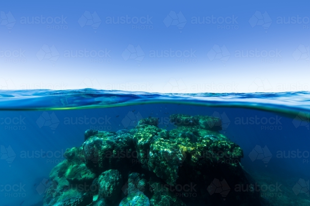 An underwater split shot of a coral reef rising out of deep blue water on the Great Barrier Reef - Australian Stock Image