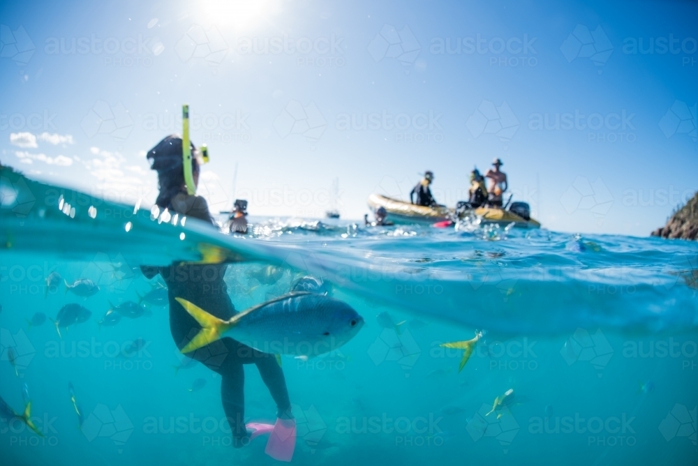 An underwater split shot of snorkelers swimming amongst tropical fish - Australian Stock Image