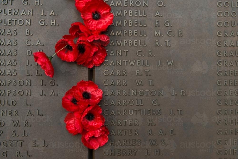 ANZAC DAY at the Australian War Memorial close up of poppies - Australian Stock Image