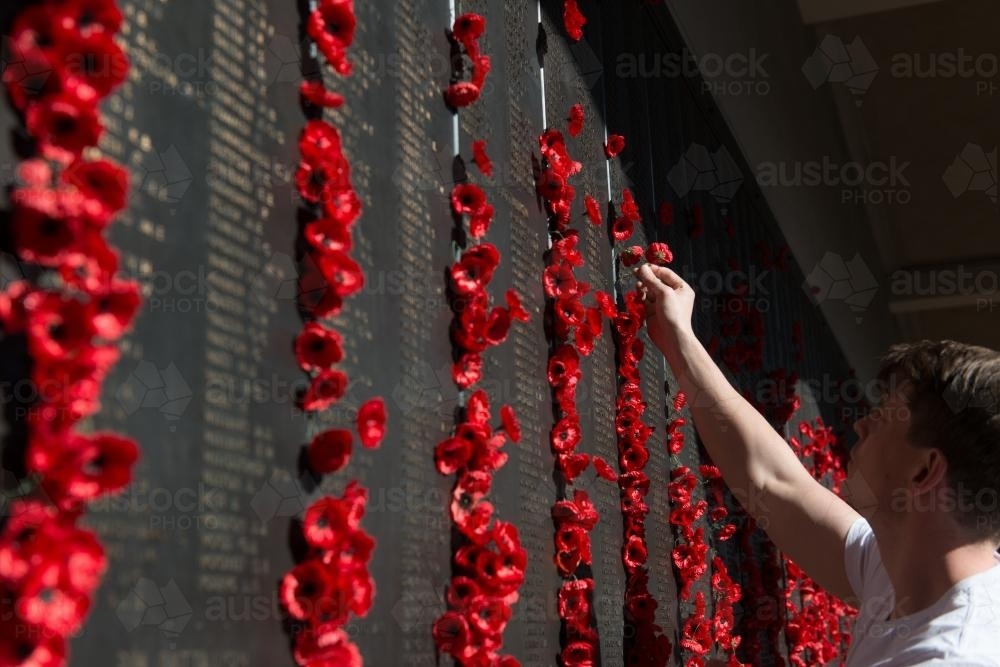 ANZAC DAY at the Australian War Memorial, man placing poppy next to name on wall of remembrance - Australian Stock Image