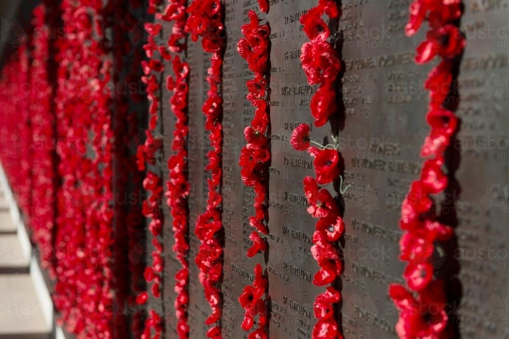 ANZAC DAY at the Australian War Memorial Wall of Poppies - Australian Stock Image