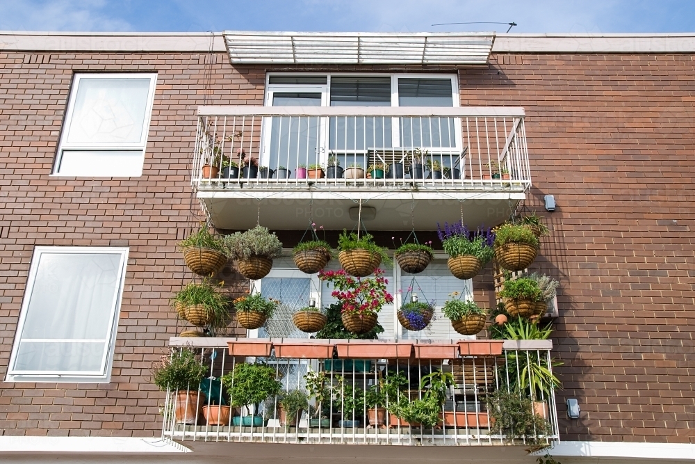 Apartment balcony covered with hanging baskets and plants - Australian Stock Image