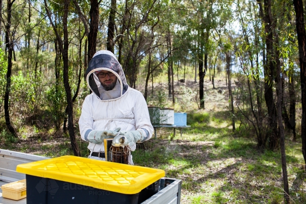 Apiarist getting ready to harvest beehives for honey in australian bushland - Australian Stock Image