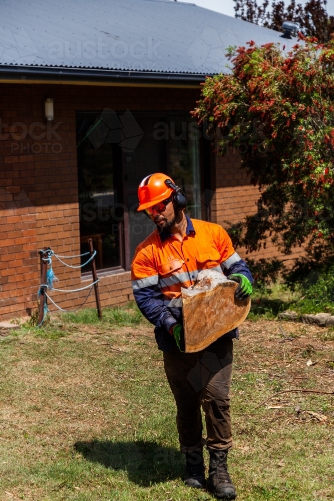 Arborist and workman felling tree and carrying logs of wood to pile - Australian Stock Image