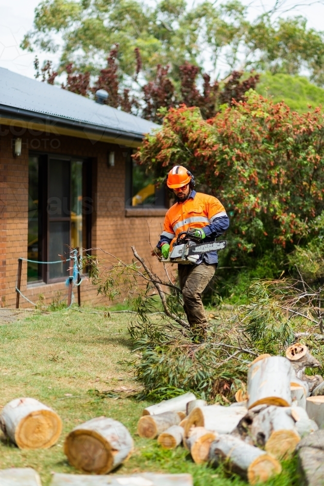 Arborist with chainsaw felling tree in garden beside home - Australian Stock Image
