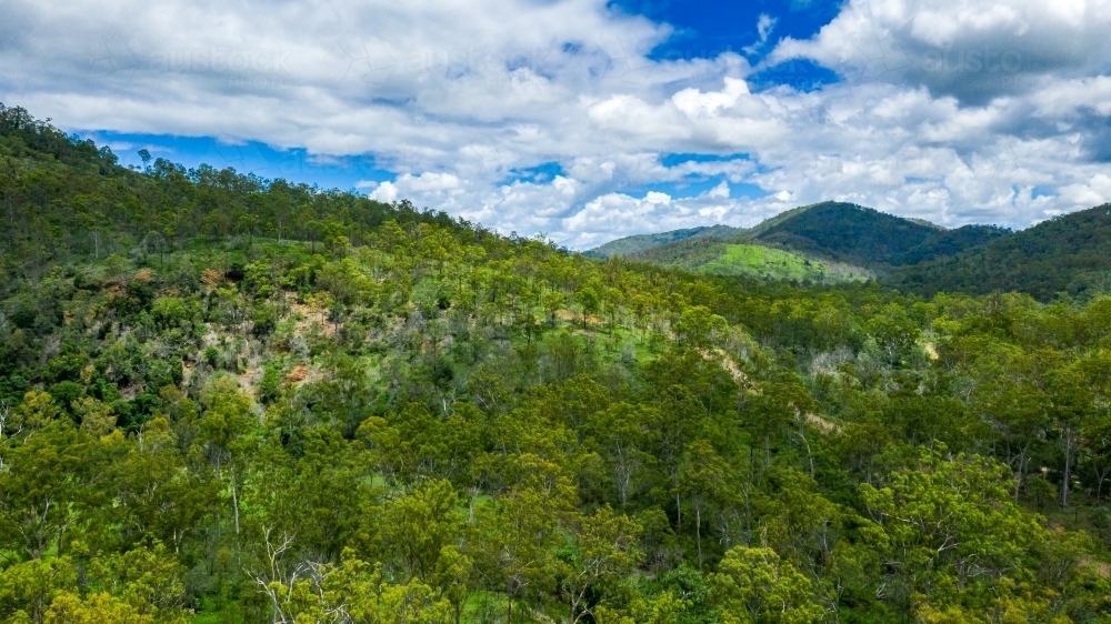 Area surrounding a fresh water swimming hole in the summer - Australian Stock Image