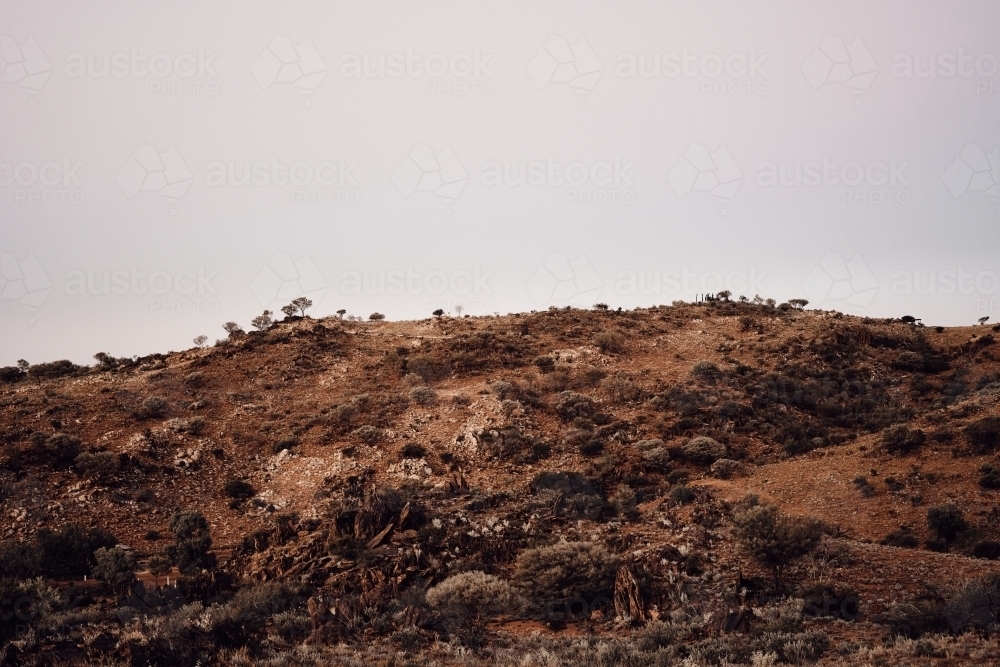 Arid bush of Broken Hill - Australian Stock Image