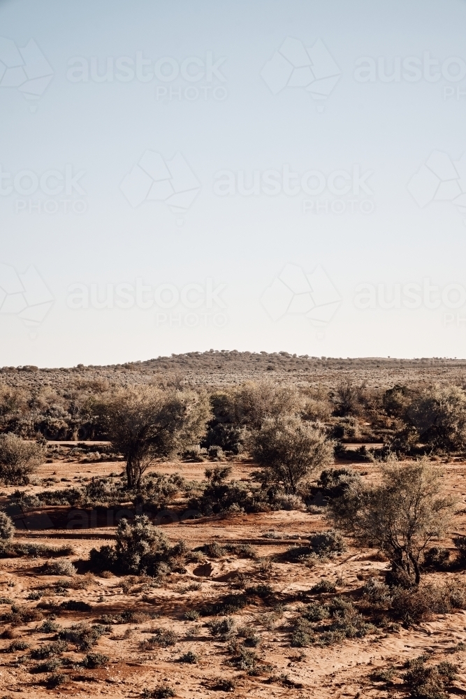 Arid desert and bush in NSW outback - Australian Stock Image