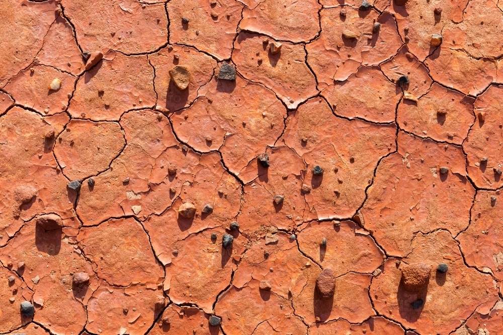 Arid desert ground - Australian Stock Image