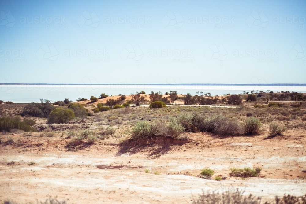 Arid landscape with brush - Australian Stock Image