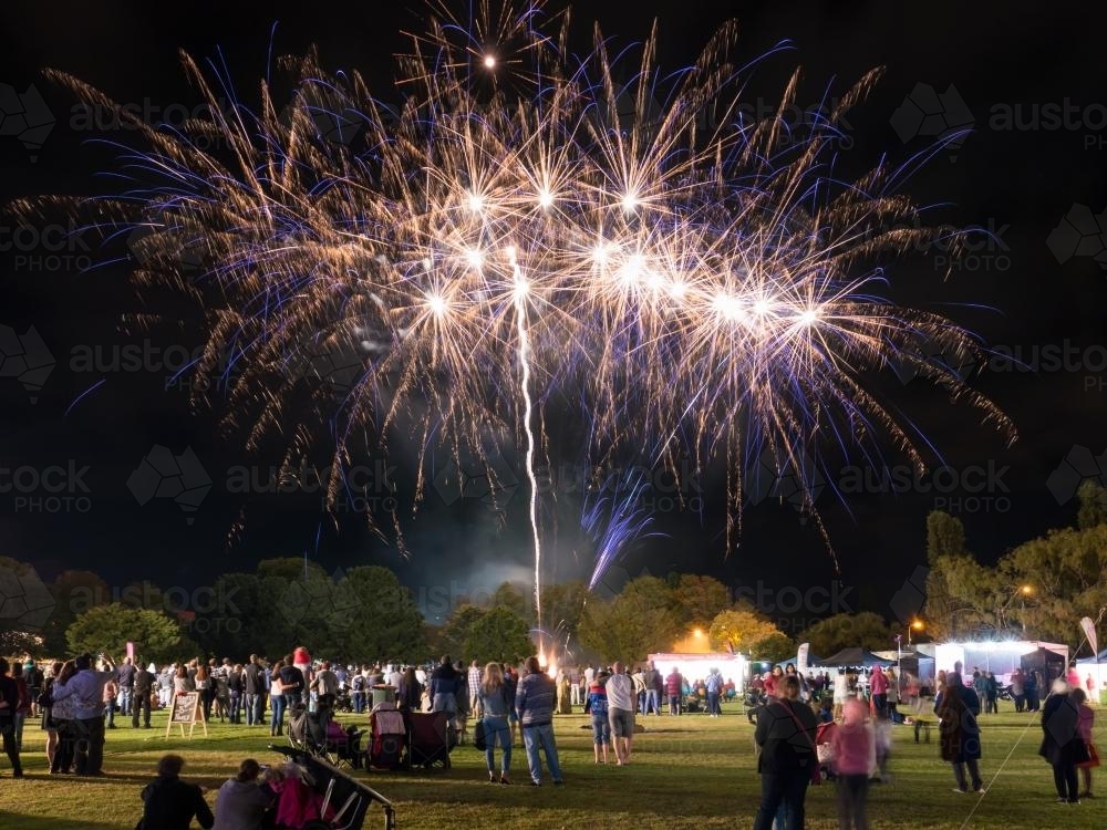 Armidale Autumn Festival Fireworks in Civic Park - Australian Stock Image