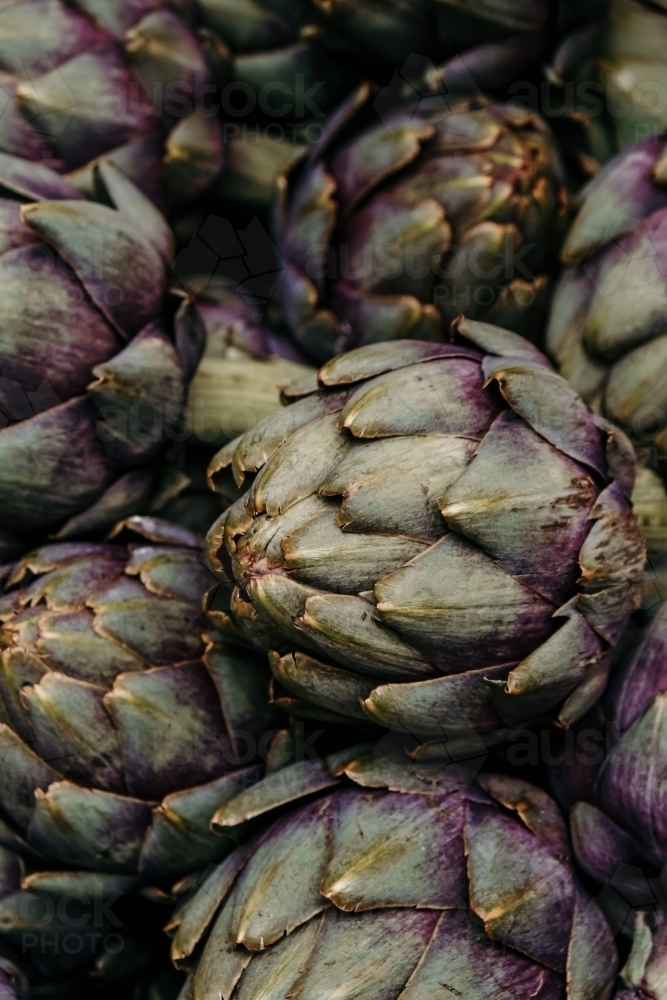 Image of Artichokes Austockphoto