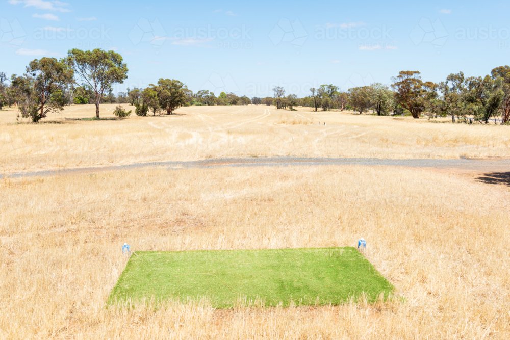 Artificial grass for a golf tee box on a dry course - Australian Stock Image