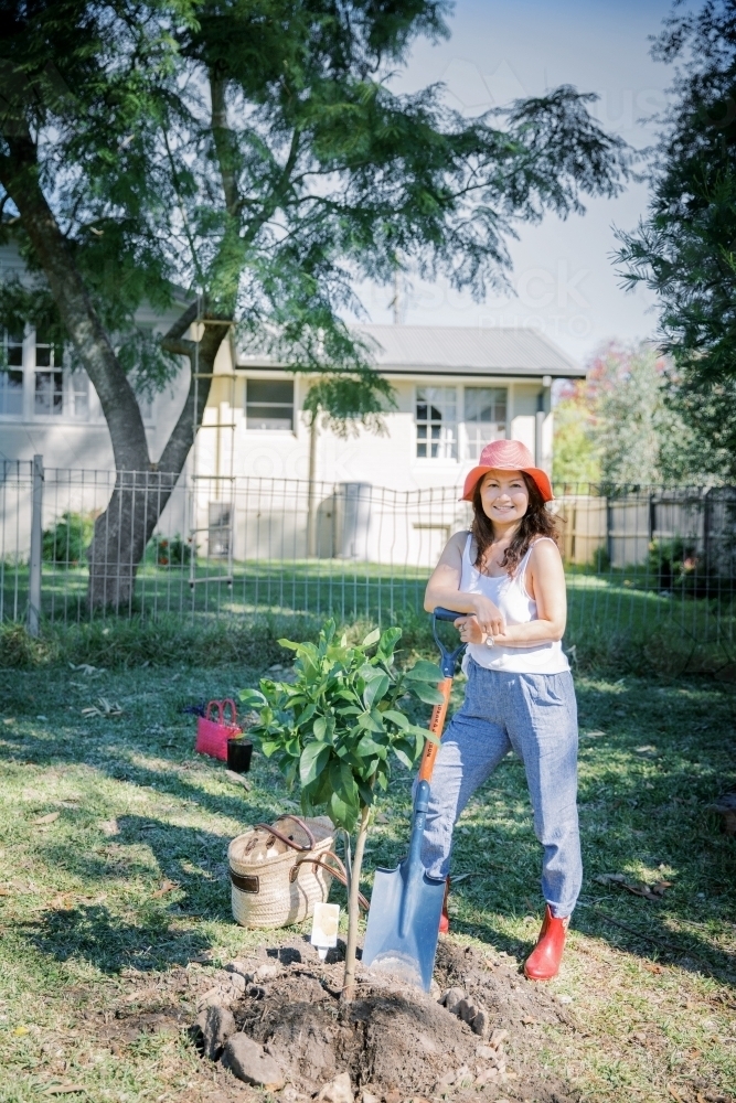 Asian woman planting a tree in garden - Australian Stock Image