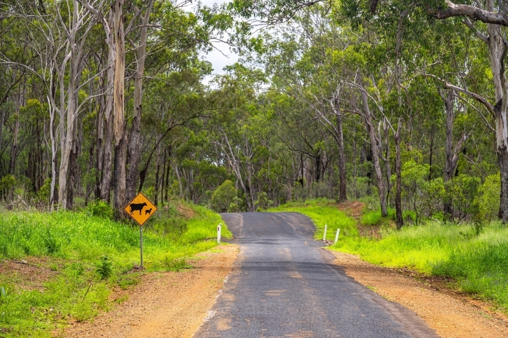 Asphalt country road with cattle crossing warning sign - Australian Stock Image