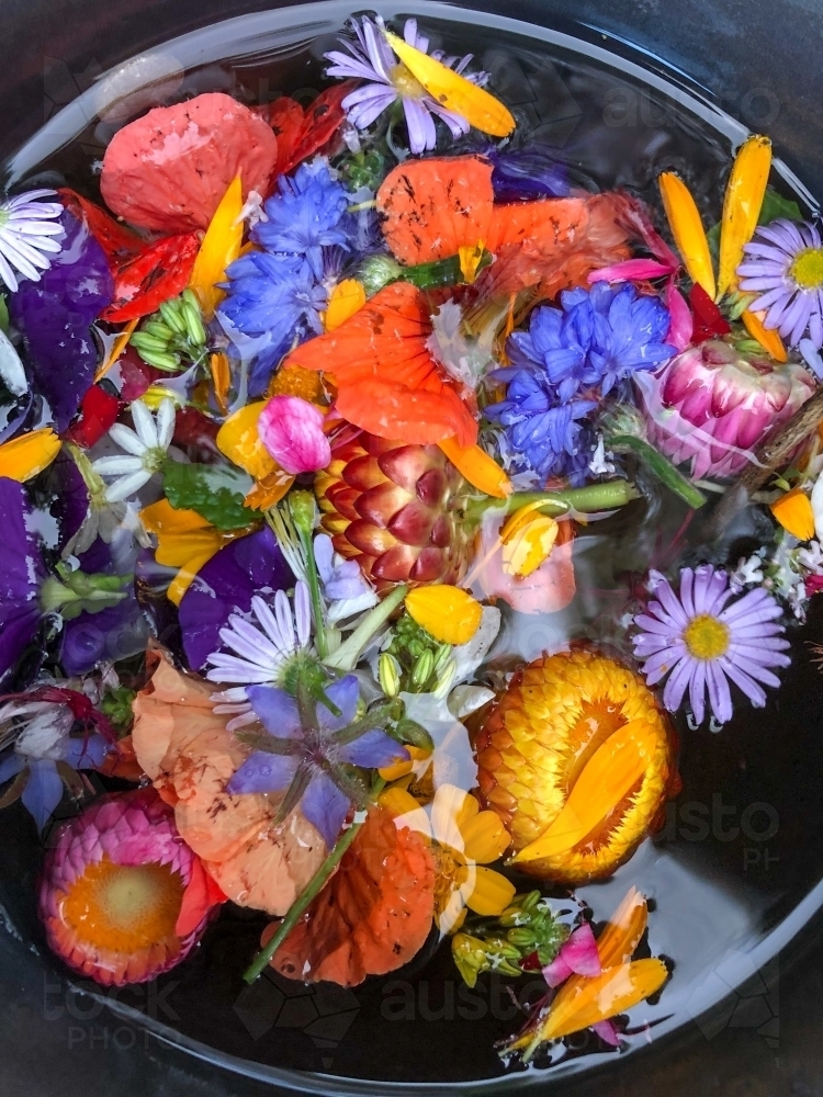 Assorted colourful flowers floating on water in a metal pot. - Australian Stock Image