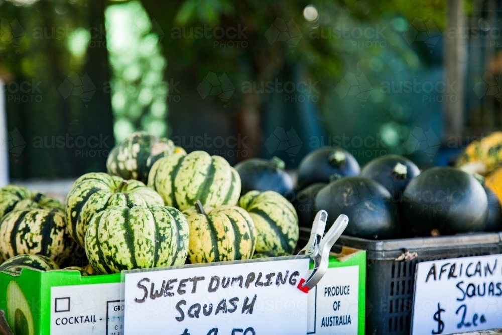 Pumpkins for sale near me