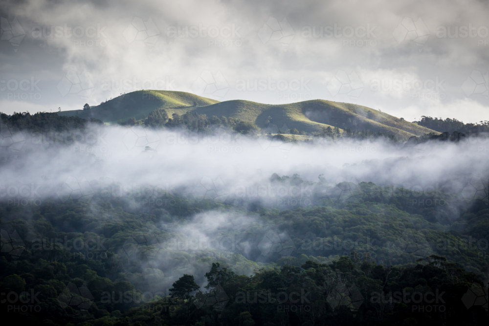 Atherton Tablelands on a misty winter's morning in Queensland, Australia - Australian Stock Image
