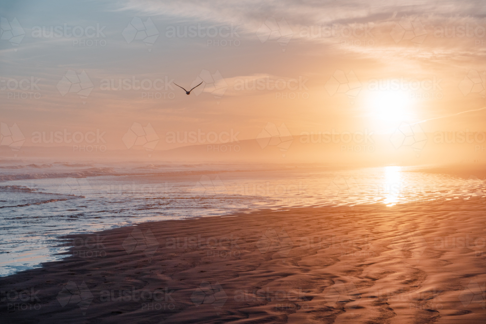 Atmospheric Golden Glow Over Goolwa Beach, South Australia - Australian Stock Image