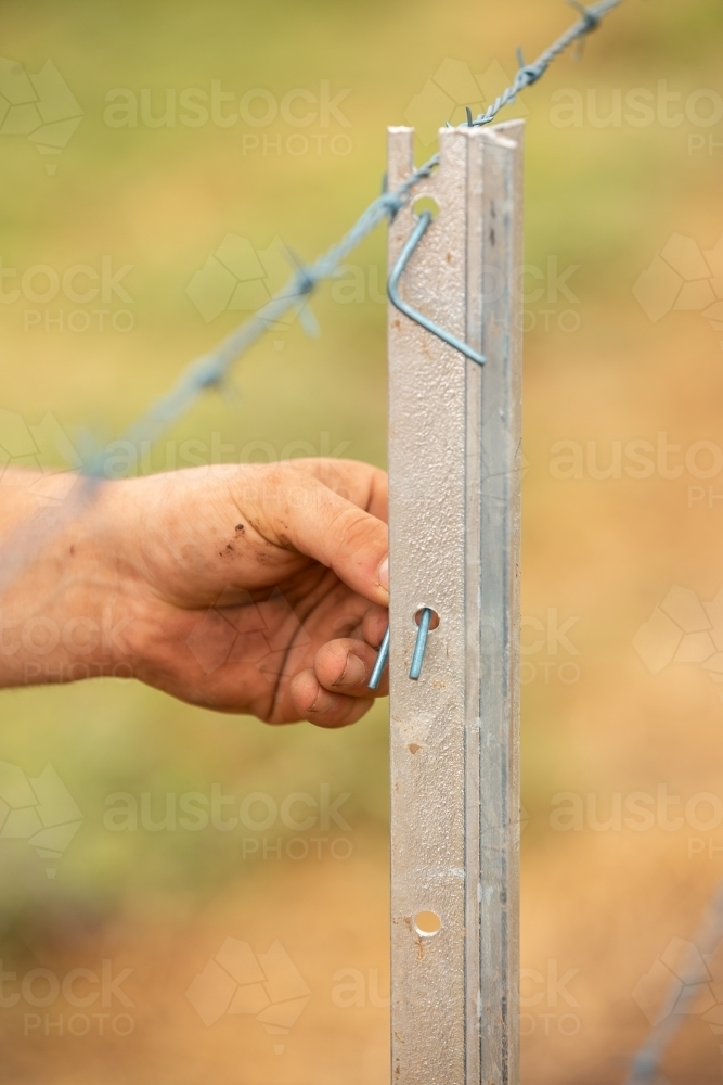 Attaching wire to a new fence post - Australian Stock Image