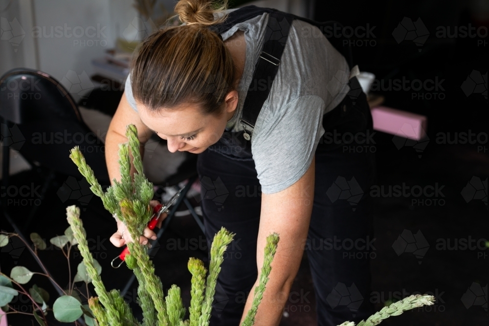 Attractive female florist bending over green foliage with secateurs and blurred darkened background - Australian Stock Image