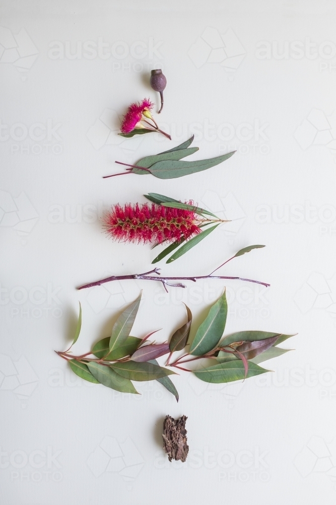 Aussie Christmas botanical flatlay - Australian Stock Image