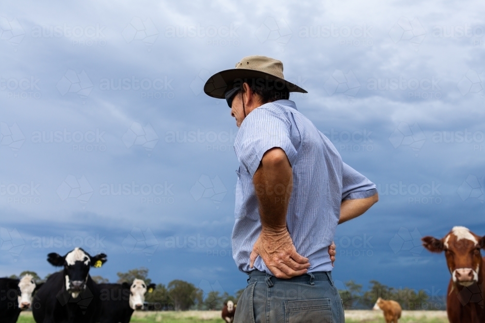 Aussie farmer with hands on hips looking out at cattle in paddock with dramatic storm clouds behind - Australian Stock Image