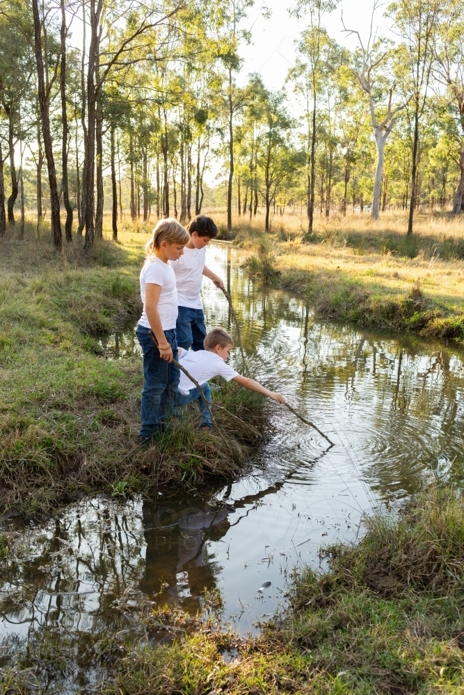 Aussie kids playing with sticks in water of creek through paddock - Australian Stock Image