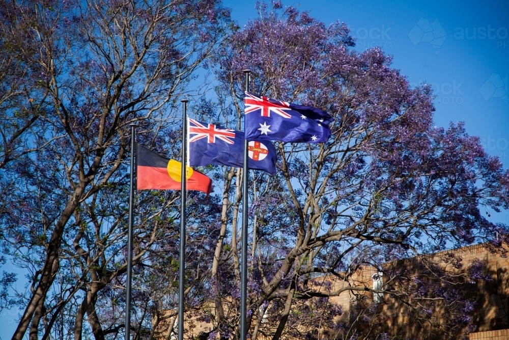 Australian, Aboriginal, and New South Wales flag flying side by side - Australian Stock Image
