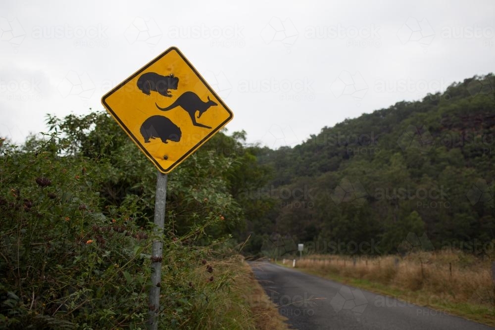 Australian animal roadsign - Australian Stock Image